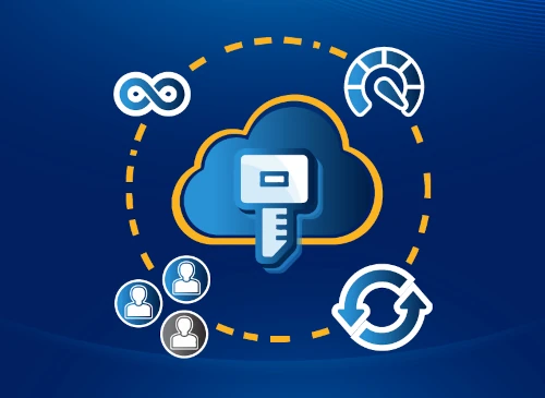 Software Licensing Services